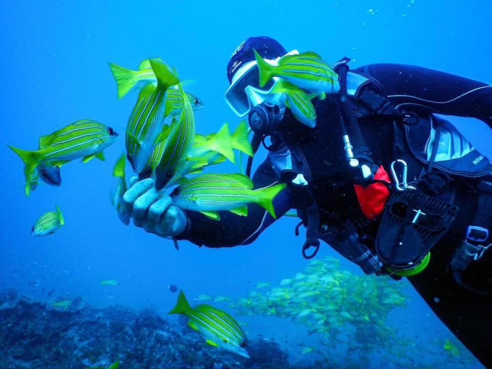 فندق Salary Bay Tsifota المظهر الخارجي الصورة